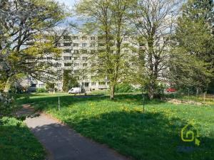 Prodej bytu 1+kk, Karlovy Vary, Východní, 19 m2