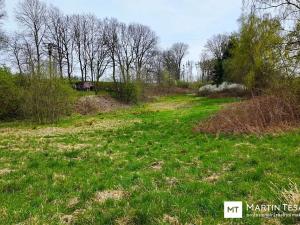 Prodej pozemku pro bydlení, Dolní Kralovice, 4012 m2