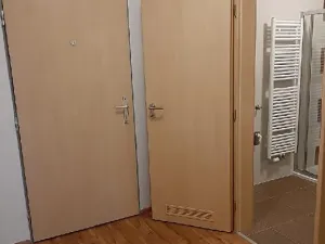 Pronájem bytu 2+kk, Olomouc, Nezvalova, 47 m2
