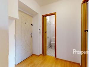Pronájem bytu 1+1, Teplice, Moskevské náměstí, 29 m2