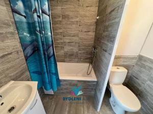 Pronájem bytu 1+kk, Teplice, Prosetická, 32 m2