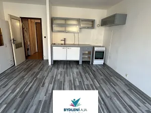 Pronájem bytu 1+kk, Teplice, Krušnohorská, 31 m2