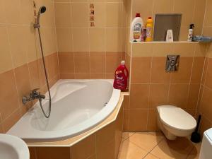 Pronájem bytu 2+kk, Praha - Záběhlice, Mattioliho, 57 m2