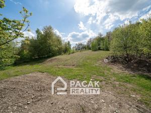 Prodej rodinného domu, Potštát - Kyžlířov, 150 m2
