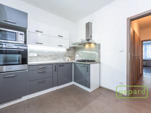 Pronájem bytu 1+1, Praha - Strašnice, Průběžná, 35 m2