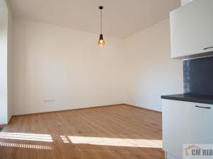 Pronájem bytu 2+kk, Olomouc - Hodolany, Holická, 52 m2
