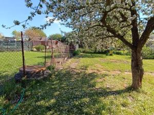 Prodej zahrady, Planá, 383 m2