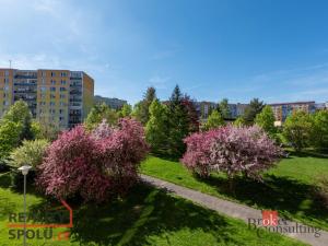 Prodej bytu 3+1, Plzeň - Bolevec, Kralovická, 63 m2