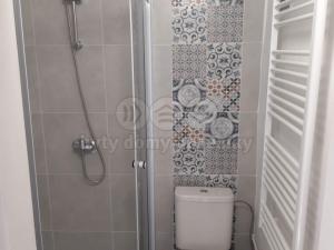 Pronájem bytu 1+1, Lom - Loučná, 30 m2
