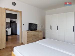 Pronájem bytu 1+1, Ústí nad Labem - Mojžíř, Peškova, 35 m2