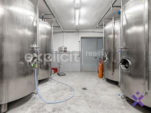 Prodej výrobních prostor, Šardice, 540 m2