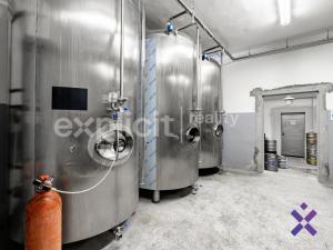Prodej výrobních prostor, Šardice, 540 m2