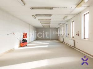 Prodej výrobních prostor, Šardice, 540 m2