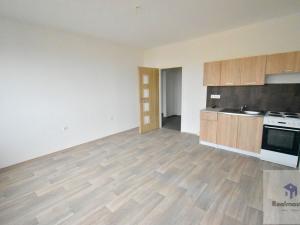 Pronájem bytu 1+1, Ústí nad Labem - Severní Terasa, Šrámkova, 41 m2