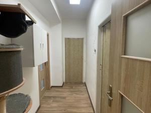 Pronájem bytu 3+1, Jirkov, Osvobození, 62 m2