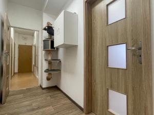 Pronájem bytu 3+1, Jirkov, Osvobození, 62 m2