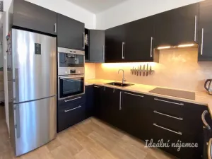 Pronájem bytu 1+1, Praha - Nusle, V Horkách, 52 m2