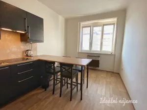 Pronájem bytu 1+1, Praha - Nusle, V Horkách, 52 m2