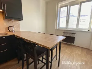 Pronájem bytu 1+1, Praha - Nusle, V Horkách, 52 m2