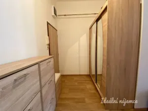 Pronájem bytu 1+1, Praha - Nusle, V Horkách, 52 m2