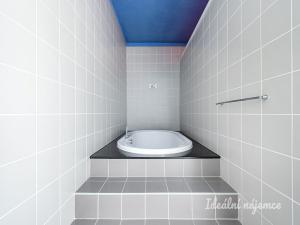 Pronájem rodinného domu, Šestajovice, K Úvozu, 280 m2