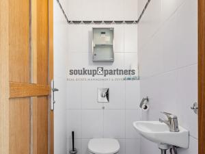 Prodej bytu 3+kk, Praha - Vinohrady, Perucká, 101 m2
