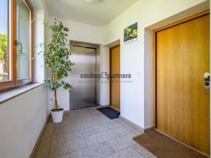 Prodej bytu 3+kk, Praha - Vinohrady, Perucká, 101 m2