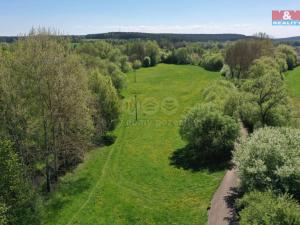 Prodej louky, Horní Bříza, U Kapličky, 4590 m2
