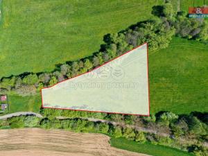 Prodej louky, Horní Bříza, U Kapličky, 4590 m2