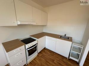 Pronájem bytu 2+kk, Most, Marš. Rybalka, 35 m2
