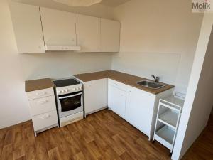 Pronájem bytu 2+kk, Most, Marš. Rybalka, 35 m2