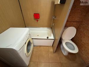 Pronájem bytu 1+kk, Most, Česká, 34 m2