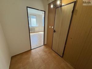 Pronájem bytu 1+kk, Most, Česká, 34 m2