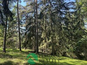 Prodej lesa, Krakov, 3934 m2
