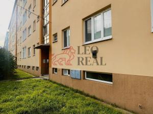 Pronájem bytu 2+1, Brno - Staré Brno, Náplavka, 50 m2