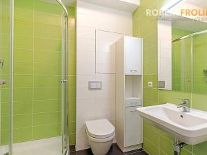 Pronájem bytu 2+kk, Praha - Vysočany, Freyova, 43 m2