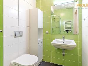 Pronájem bytu 2+kk, Praha - Vysočany, Freyova, 43 m2