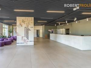 Pronájem bytu 2+kk, Praha - Vysočany, Freyova, 43 m2
