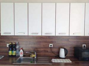 Pronájem bytu 1+1, Ostrava, Fojtská, 38 m2
