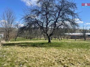 Prodej pozemku pro bydlení, Horní Planá, 3218 m2