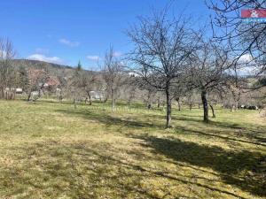 Prodej pozemku pro bydlení, Horní Planá, 3218 m2