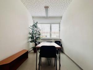 Pronájem kanceláře, Ostrava, Lešetínská, 13 m2