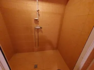Prodej rodinného domu, Větrný Jeníkov, 600 m2