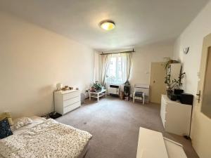 Pronájem bytu 1+kk, Praha - Vršovice, Holandská, 34 m2