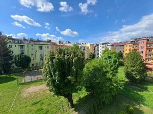 Pronájem bytu 3+1, Olomouc, Dukelská, 86 m2