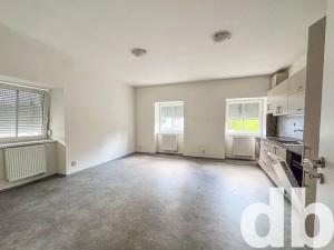 Pronájem bytu 2+kk, Dalovice, Hlavní, 50 m2
