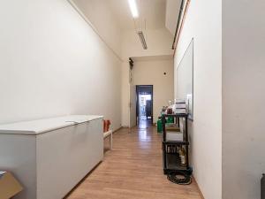 Pronájem obchodního prostoru, Brno, Starobrněnská, 54 m2