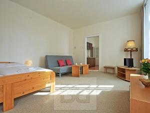 Pronájem bytu 2+kk, Praha - Nové Město, V jirchářích, 47 m2