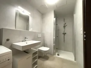 Pronájem bytu 1+kk, Plzeň - Skvrňany, Františka Kováříka, 36 m2