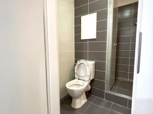 Pronájem bytu 1+kk, Plzeň - Bolevec, Manětínská, 26 m2